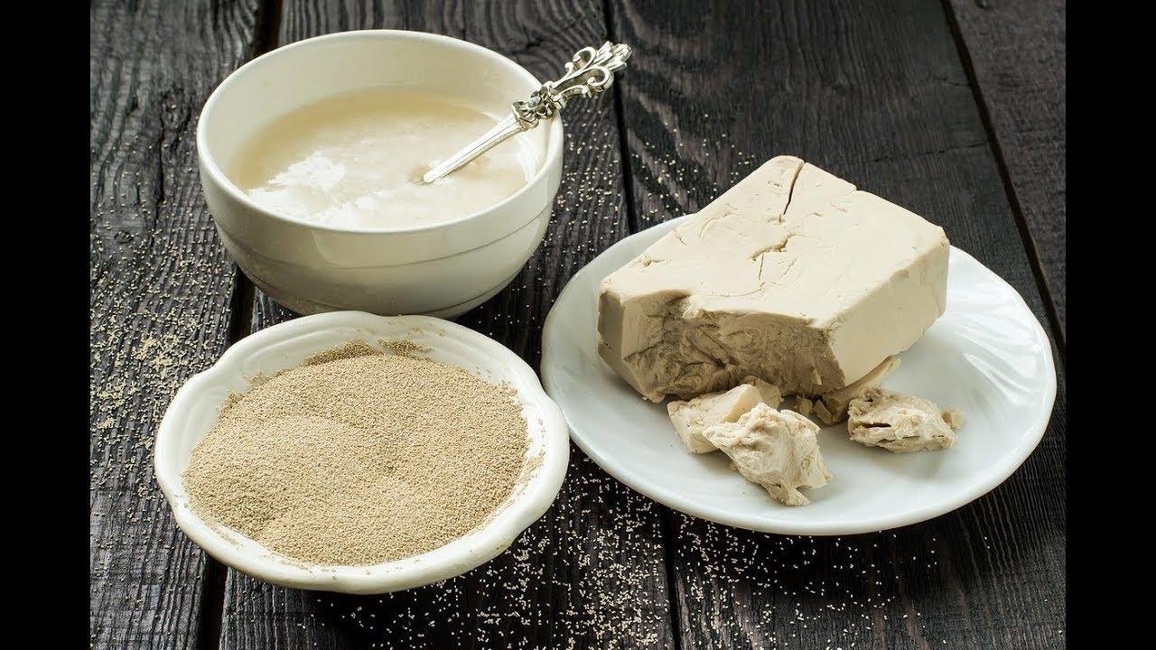 dry yeast