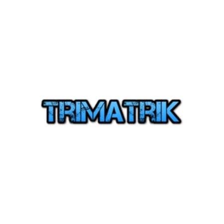 Trimatrik